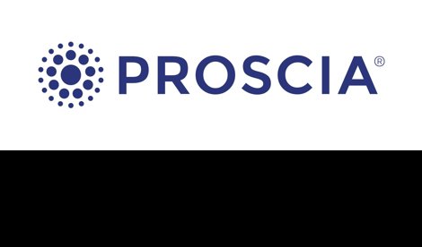 Comunicados Internacional