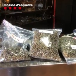 Imágenes del registro policial de Vilamalla (Girona)