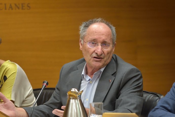 Joan Llinares en su comparecencia en Les Corts