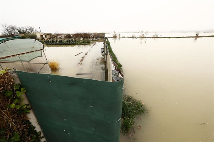 Archivo - Campos de cultivo ante la crecida extraordinaria del río Ebro, a 13 de diciembre de 2021, en Gallur, Zaragoza, Aragón (España). La 