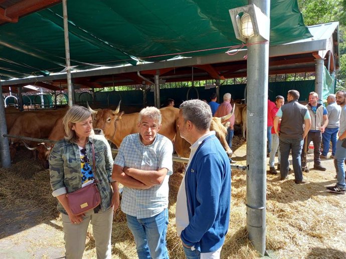 El consejero Alejandro Calvo en el certamen de ganado de Somiedo