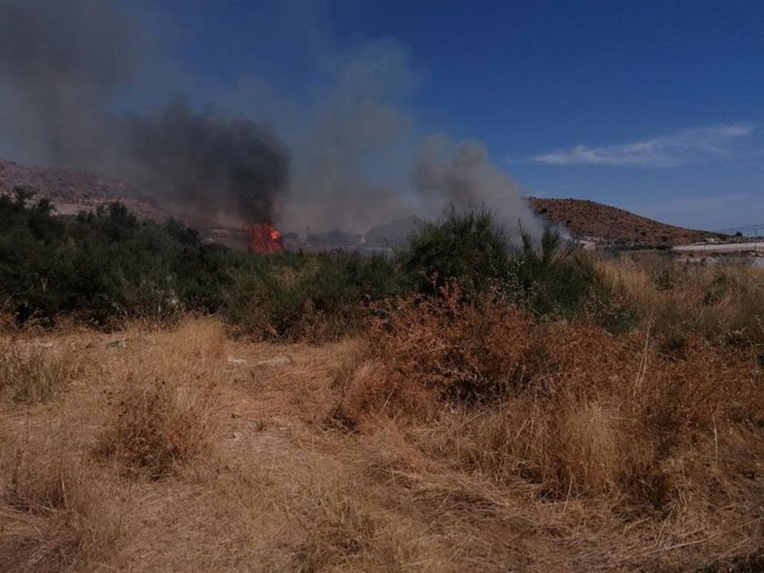 Fotografías facilitadas por Agente Medioambiental