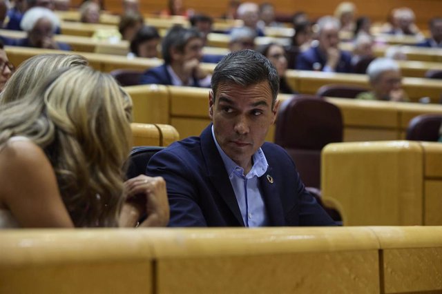 El presidente del Gobierno, Pedro Sánchez, durante un debate monográfico sobre la crisis energética y el contexto económico, en el Senado