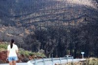 Sierra Bermeja, joya natural de la provincia de Málaga que resurge un año después del peor incendio de 2021 en España