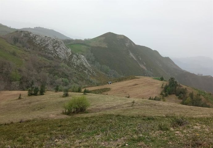 Desbroces en Picos de Europa.