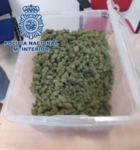 Un detenido en Lucena (Córdoba) tras desmantelar una plantación 'indoor' de marihuana