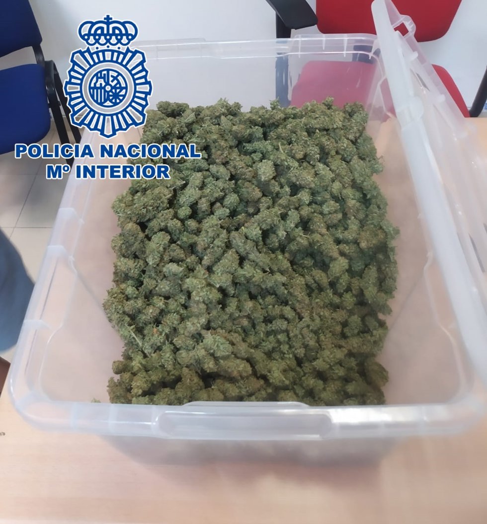 Marihuana intervenida por la Policía Nacional.
