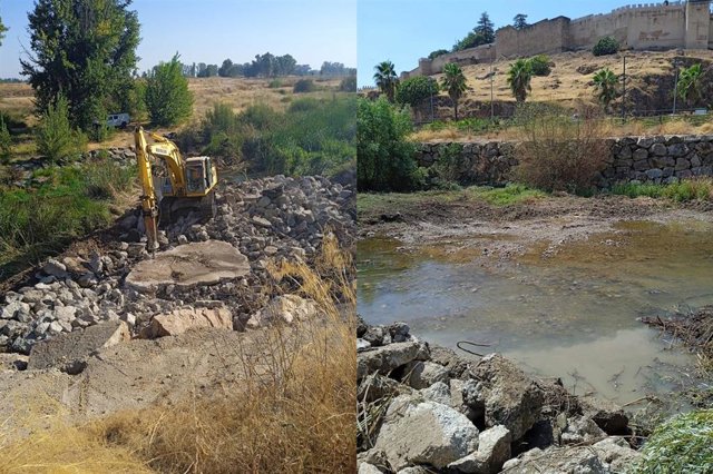 Badenes del Guadiana