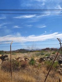 Declarado un incendio forestal en el paraje Elviria de Marbella (Málaga)