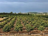 Caja Rural de Granada lanza una línea especial de financiación para explotaciones agrarias afectadas por la sequía