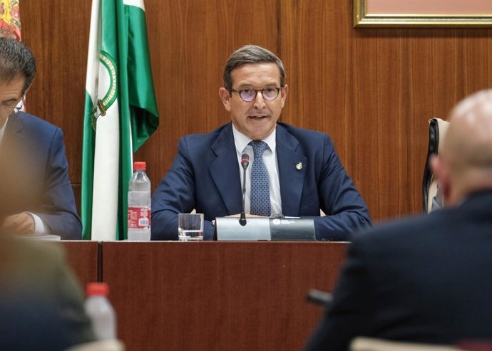 El consejero andaluz de Política Industrial y Energía, Jorge Paradela, en comisión parlamentaria.