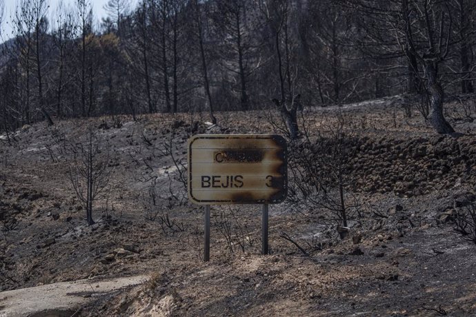 Vegetación y cartel de Bejís calcinados, a 20 de agosto de 2022, en Bejís, Castellón, Comunidad Valenciana, (España).  La evolución del incendio forestal declarado el pasado lunes en la comarca del Alto Palancia ha entrado en una fase "crítica" por el v