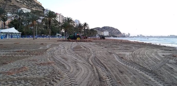 Archivo - Playa del Postiguet en Alicante