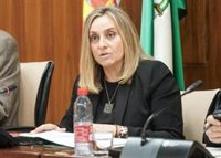 La Junta asegura que se sigue "negociando" sobre la futura regulación para los VTC: "No queremos dañar al taxi"