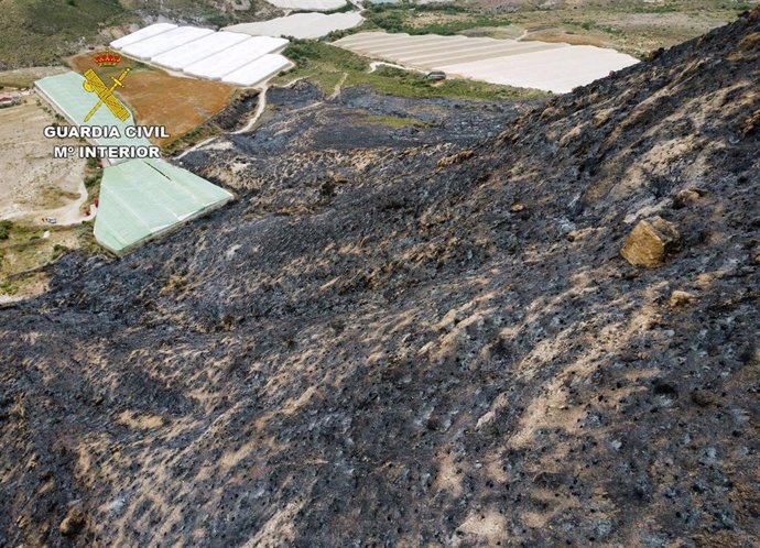 Situación en la que quedó la zona forestal calcinada