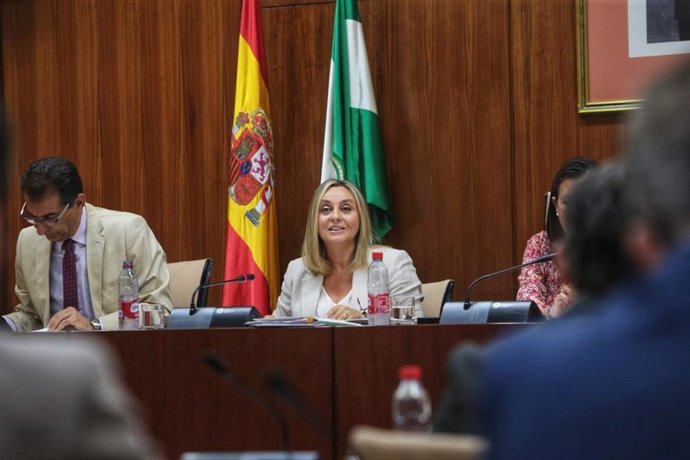 La consejera de Fomento, Articulación del Territorio y Vivienda, Marifrán Carazo, en la Comisión de su departamento.