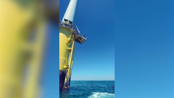 Este grupo de saltadores se lanzan al mar desde los sitios más atrevidos