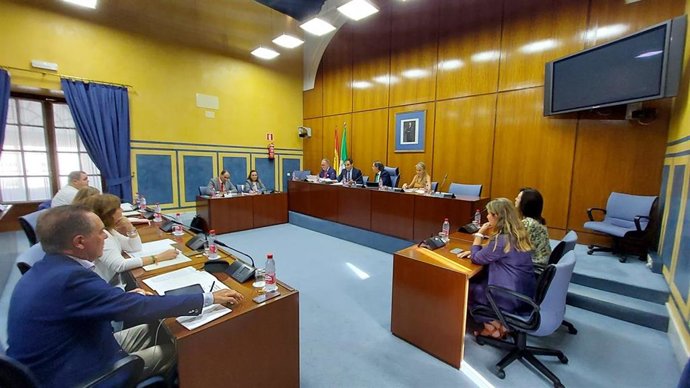 Comisión de Justicia, Administración Local y Función Pública en el Parlamento andaluz.