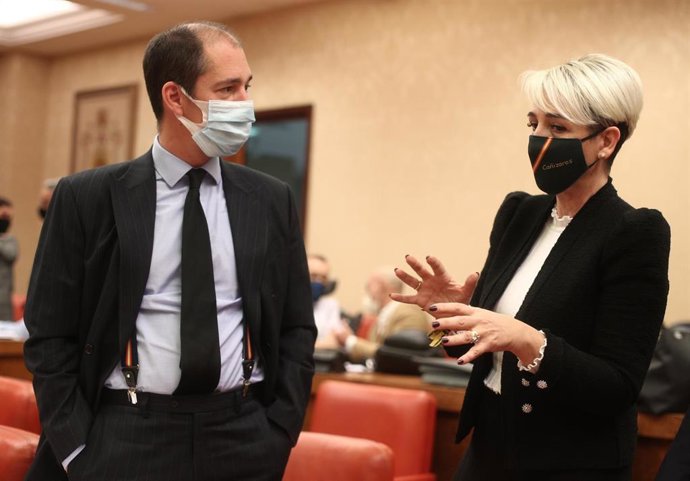 Archivo - Los diputados de Vox Víctor González Coello e Inés Cañizares conversan minutos antes de que de comienzo una comisión en el Congreso