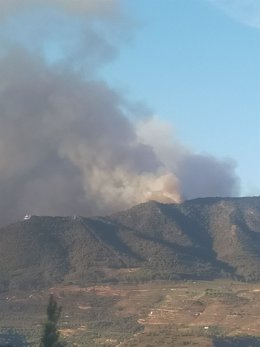 Imagen del incendio en la mañana de este viernes en Los Guájares (Granada).