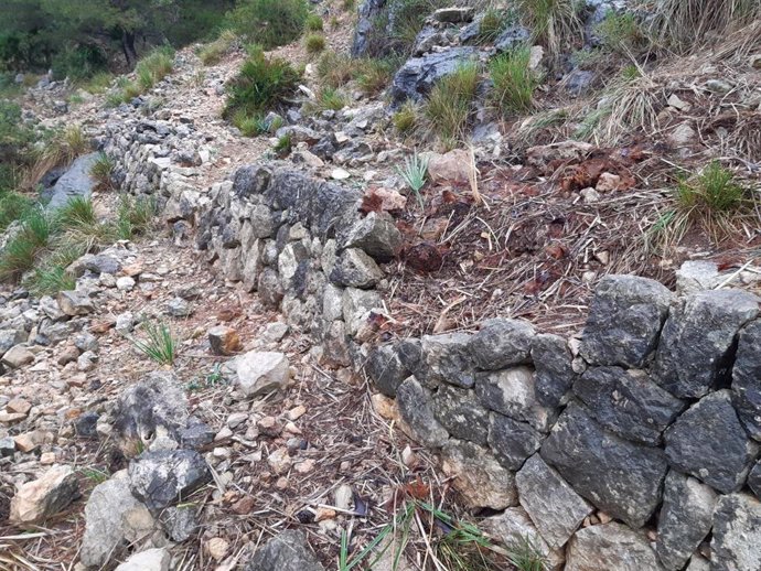 El Consell de Mallorca comienza la recuperación de los 'marges' del camino Viejo del Faro de Formentor.