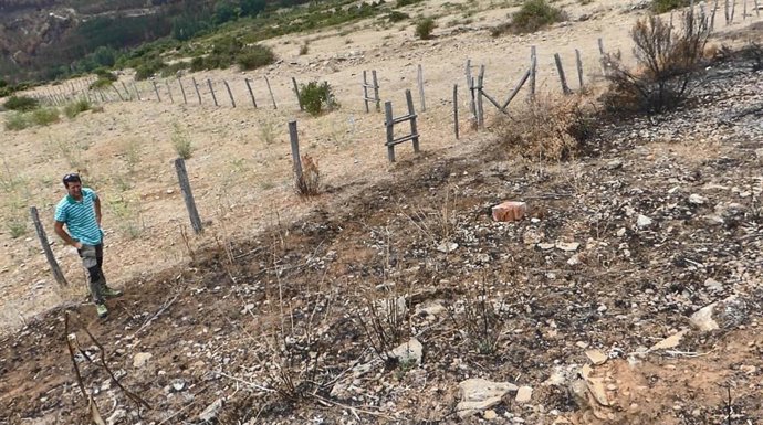 El fuego se detiene al llegar a las zonas pastoreadas.