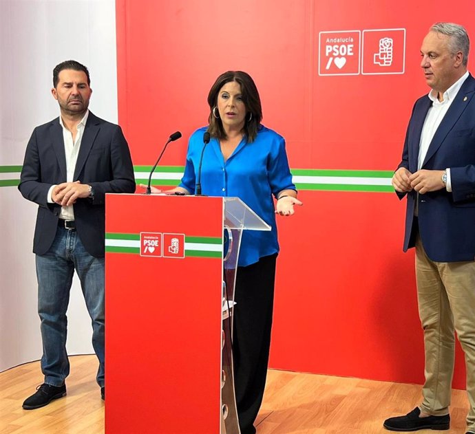 La vicesecretaria general del PSOE-A, Ángeles Férriz, en rueda de prensa en Cádiz.