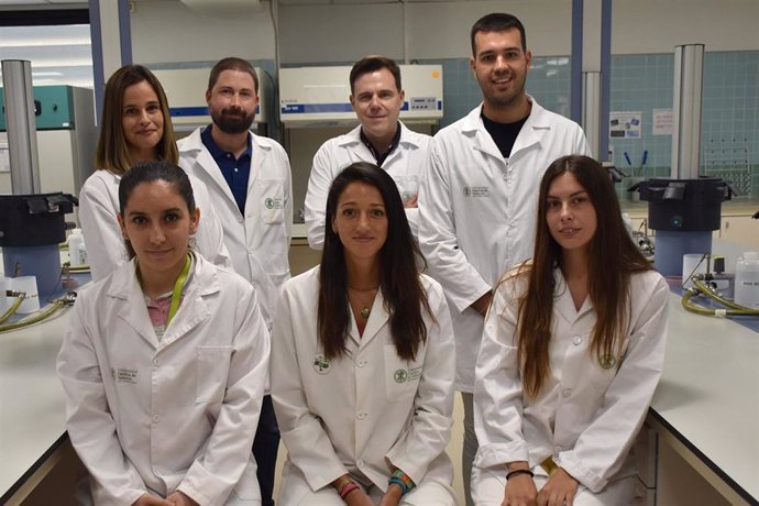 Archivo - Científicos del Laboratorio de Biomateriales y Bioingeniería de CITSAM-UCV, perteneciente a la Universidad Católica de Valencia,