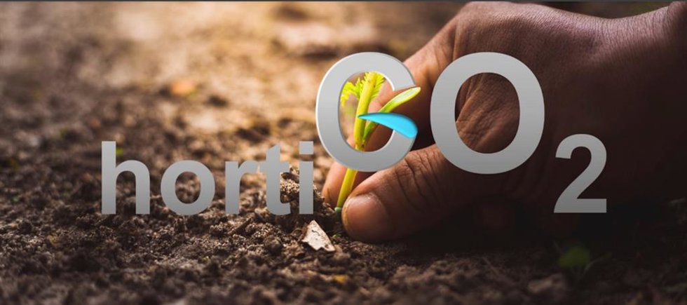 Valncia impulsa una iniciativa para posibilitar que los agricultores de su huerta cobren por compensar CO2 con el cultivo de los campos .