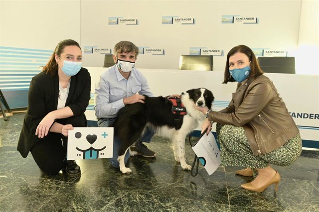 Archivo - Santander licita el servicio de recogida de animales abandonados