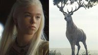 La Casa del Dragón: El ciervo blanco confirma el futuro de Rhaenyra Targaryen en House of the Dragon