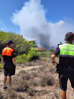 Incendio forestal entre las urbanizaciones de La Casba y Les Gavines de El Saler (València)
