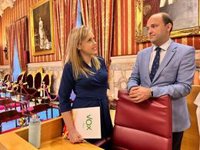 Vox lamenta "el fiasco" del espectáculo de drones y exige explicaciones a Muñoz