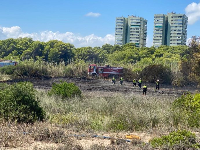 Incendio forestal en El Saler (Valncia)