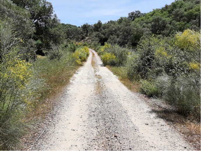Una camino rural de Extremadura.