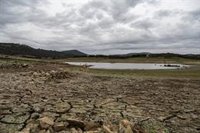 Las lluvias llegan esta semana a Extremadura tras acumular un déficit del 34% de su valor de referencia en todo al año