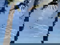 El Festival Aéreo Internacional de Torre del Mar reúne a más de 300.000 personas en el litoral