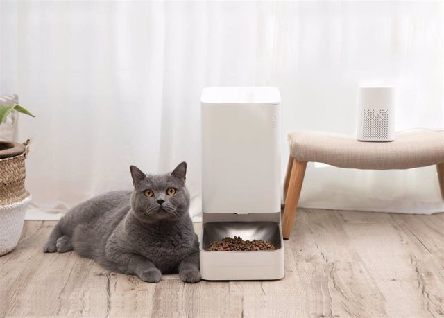 Archivo - El comedero Xiaomi Smart Pet Food Feeder