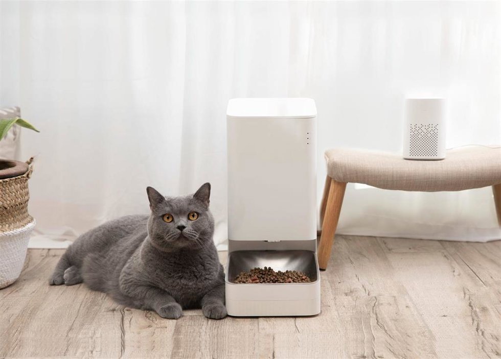 Archivo - El comedero Xiaomi Smart Pet Food Feeder
