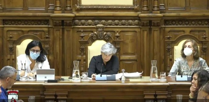 Pleno Municipal de Gijón