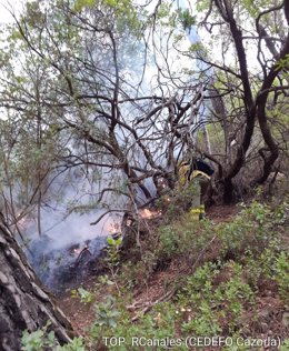 Incendio forestal en Santiago Pontones (Jaén)