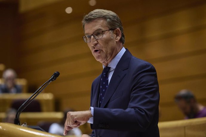 El presidente del Partido Popular, Alberto Núñez Feijóo, interviene durante un debate monográfico sobre la crisis energética y el contexto económico, en el Senado, a 6 de septiembre de 2022, en Madrid (España). 