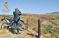 Investigados dos vecinos de Hornachos por cazar ilegalmente en zona crítica de reproducción del lince ibérico