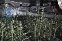 Detienen en el Aeropuerto de Barcelona a tres presuntos traficantes de drogas