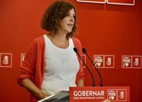 PSOE dice que la Comisión de Investigación por la compra de material sanitario "se celebra porque lo ha decido Andreu"