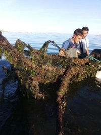 Detectan niveles "normales" de oxígeno en 82 de los 85 puntos del Mar Menor analizados este lunes