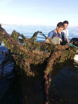 Retiran objetos arrastrados al interior del Mar Menor por lluvias de los últimos años
