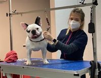 La DPZ lanza sus ayudas para mujeres emprendedoras, que se incrementan un 62% hasta los 400.000 euros