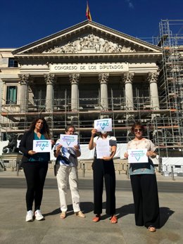 Representantes de Feministas al Congreso piden paralizar la tramitación de la Ley Trans
