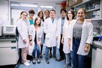 Identificada una proteína implicada en la progresión del cáncer de pulmón más frecuente